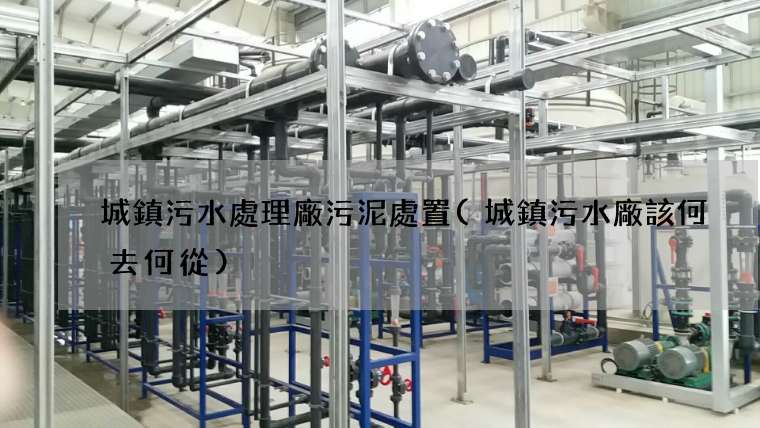 城鎮污水處理廠污泥處置(城鎮污水廠該何去何從)